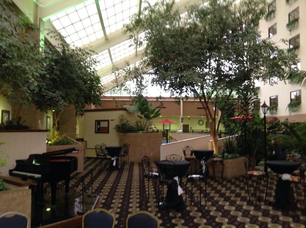 Wyndham Garden Amarillo Otel Dış mekan fotoğraf