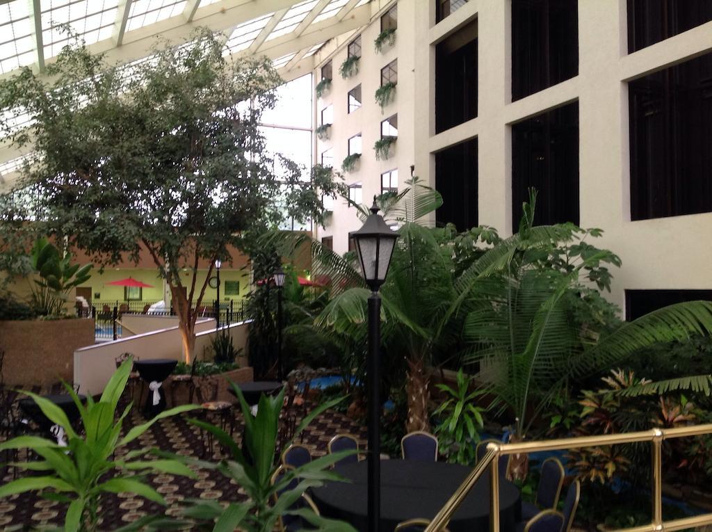 Wyndham Garden Amarillo Otel Dış mekan fotoğraf